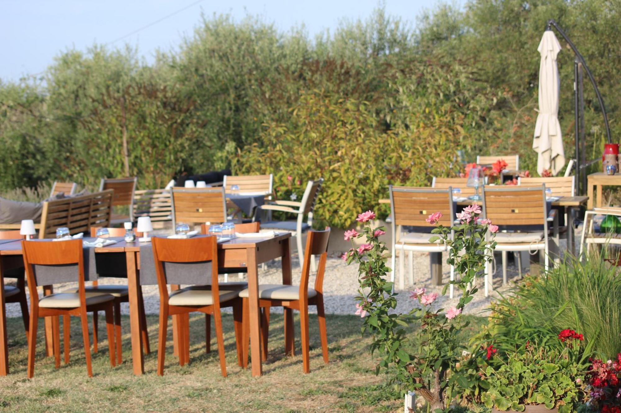 Gastronomic B&B Carlocarla Monte San Pietrangeli エクステリア 写真